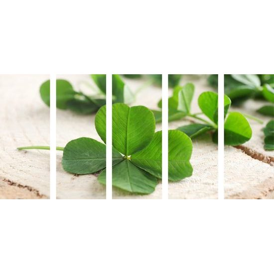 5-dílný obraz čtyřlístky pro štěstí
