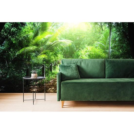 Samolepící fototapeta cestička uprostřed exotických Seychel