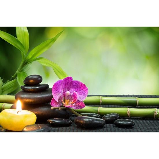 Obraz relaxační zahrada Feng Shui
