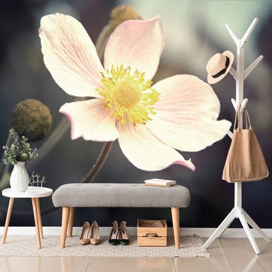 Originální fototapeta půvab květu