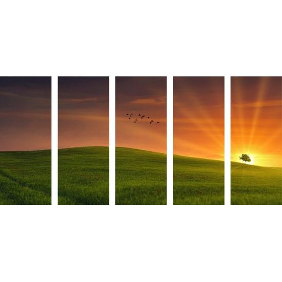 5-dílný obraz strom blokující západ slunce