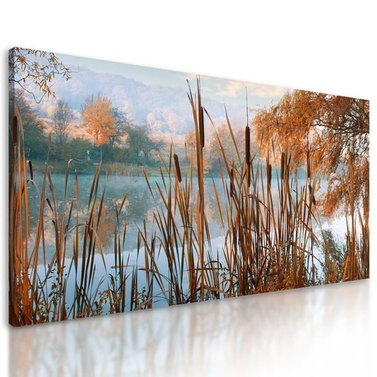 Obraz kouzlo ranního rybníka