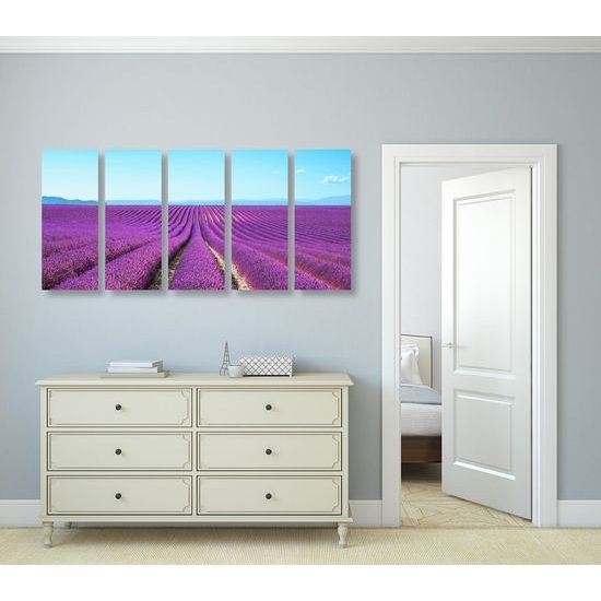 5-dílný obraz nádherná levadulová pole