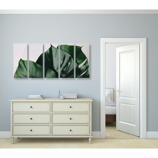 5-dílný obraz lesklé listy monstery