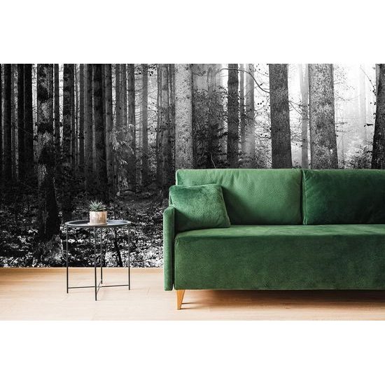 Originální samolepící fototapeta černobílé zákoutí lesa