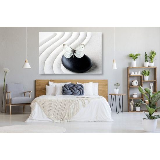 Obraz harmonie motýla s černým kamenem