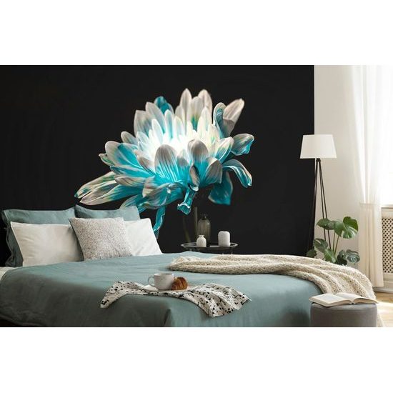 Samolepící tapeta nádherná sedmikráska na tmavém pozadí