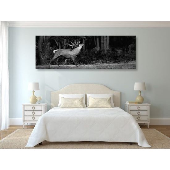 Obraz nádherný jelen v černobílém provedení