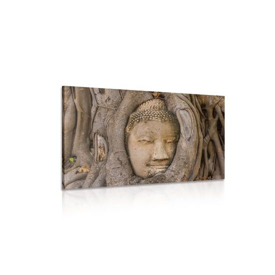 Obraz Buddha obrostlý stromem