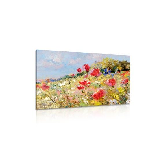 Obraz divoké máky na louce