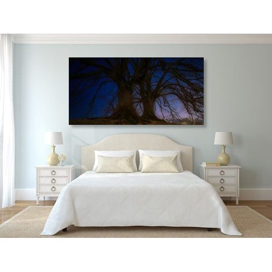 Obraz magické stromy pod noční oblohou
