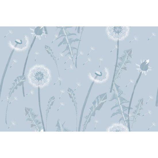 Tapeta něžnost pampelišky