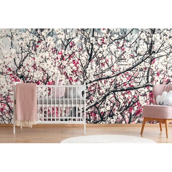 Samolepící fototapeta broskvový strom plný květin
