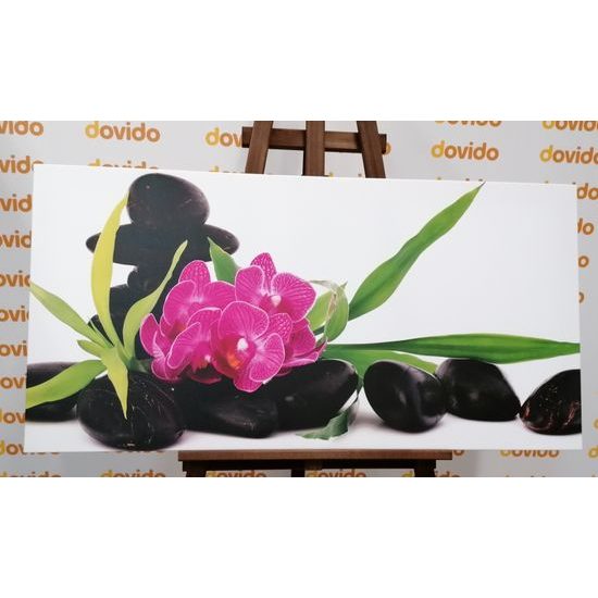 Obraz krásný květ orchideje ve SPA zátiší