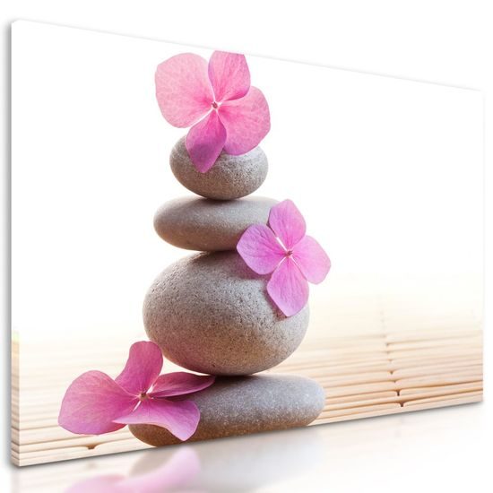 Obraz životní rovnováha