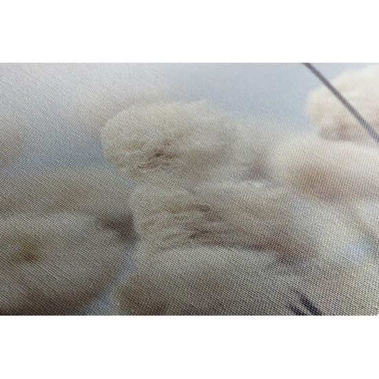 Obraz květiny bavlníku ve větru