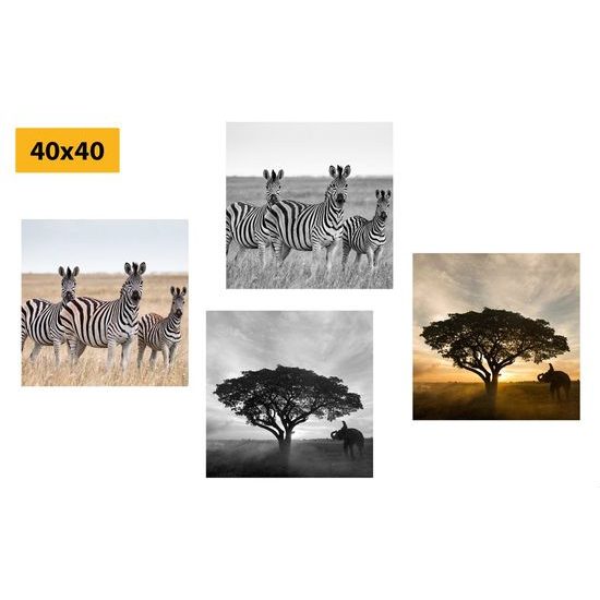 Set obrazů divoká savana