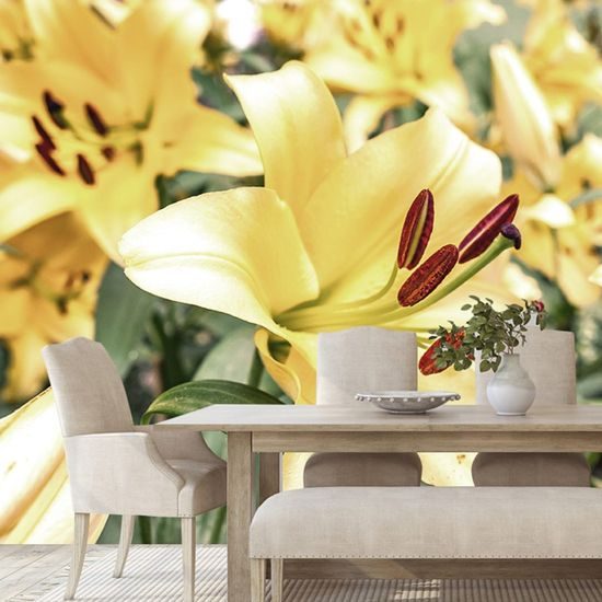 Samolepící fototapeta dokonalé květiny žluté lilie