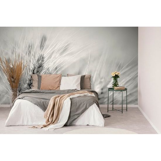 Okouzlující samolepící fototapeta detail pšenice v černobílém provedení