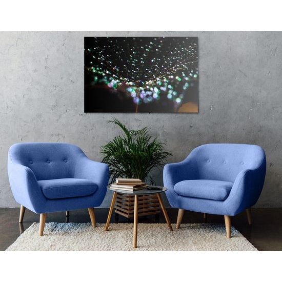 Obraz rosa na pampelišce