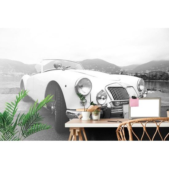 Fototapeta černobílý vzácný veterán