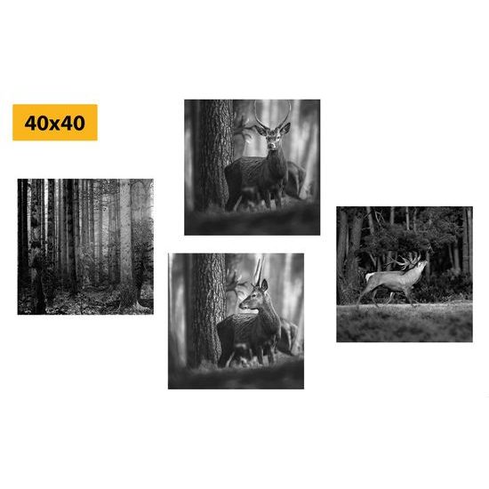 Set obrazů vysoká zvěř v černobílém provedení