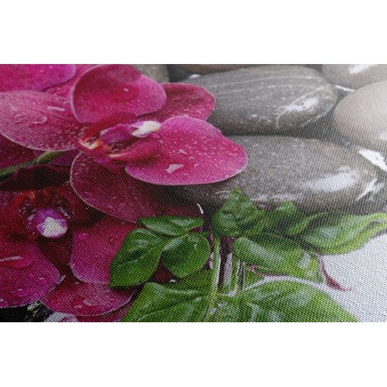 Obraz wellness zátiší a květ orchideje