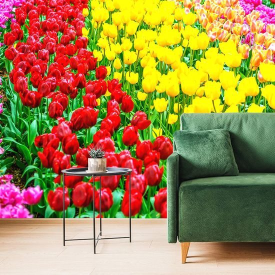 Tapeta barevný tulipánový záhon