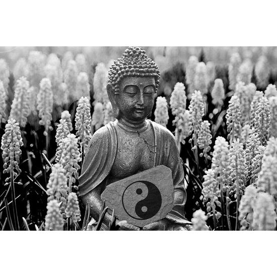 Obraz Buddha na levandulové louce v černobílém provedení