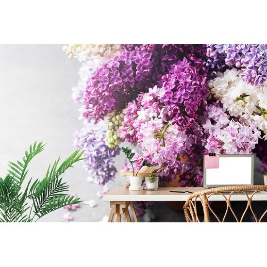 Nádherná fototapeta květiny šeříku