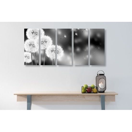 5-dílný obraz nadýchané kloboučky pampelišky v černobílém provedení