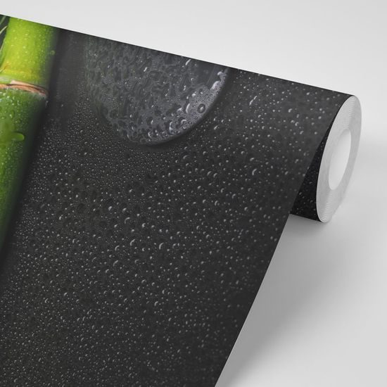 Fototapeta wellness zátiší s Jing a Jang
