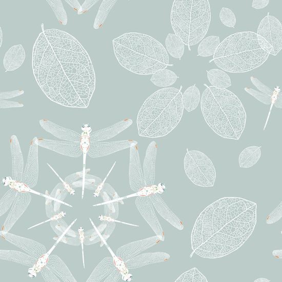 Tapeta půvabné vážky na zeleném pozadí