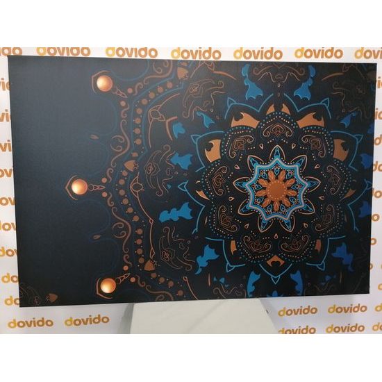 Obraz mořská Mandala