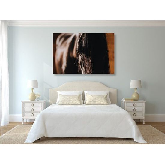 Obraz vznešený kůň