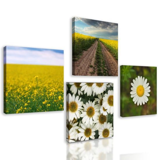 Set obrazů něžné semokrásky