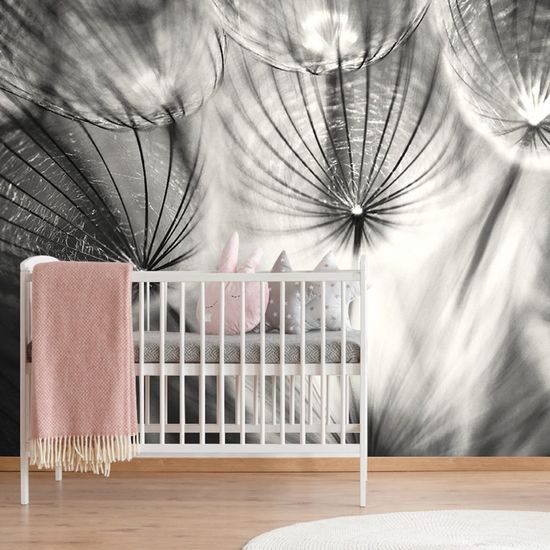 Zajímavá samolepící fototapeta černobílá pampeliška