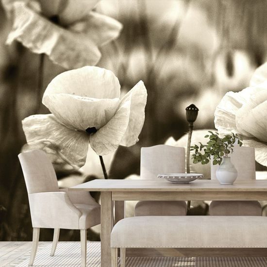 Nádherná sépiová fototapeta v objetí vlčích máků