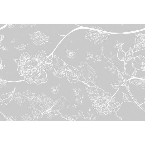 Samolepící tapeta jemné zobrazení ptáčků na větvičkách