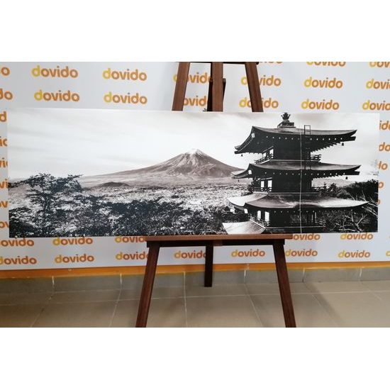 Obraz krása Japonska v černobílém provedení