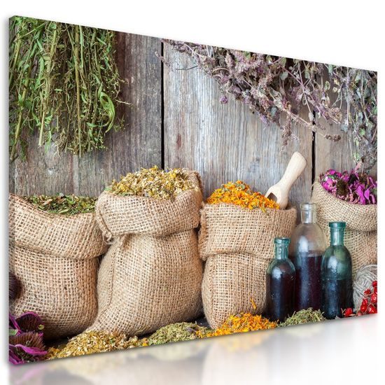 Obraz polní bylinky