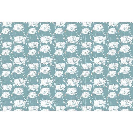 Tapeta nádherné máky na modrém pozadí