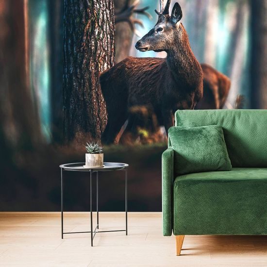 Samolepící fototapeta mladý jelen uprostřed stromů