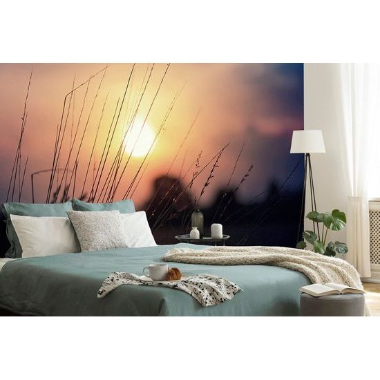 Fototapeta tráva v paprscích slunce