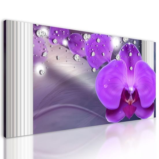 Obraz luxusní orchidej