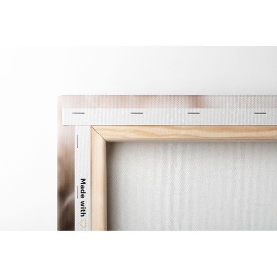 Obraz umělecké zátiší s nápisem Home
