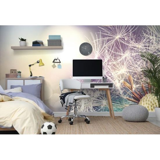 Samolepící tapeta dokonalý pohled na pampelišku