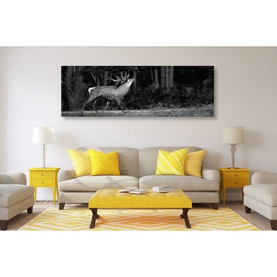 Obraz nádherný jelen v černobílém provedení