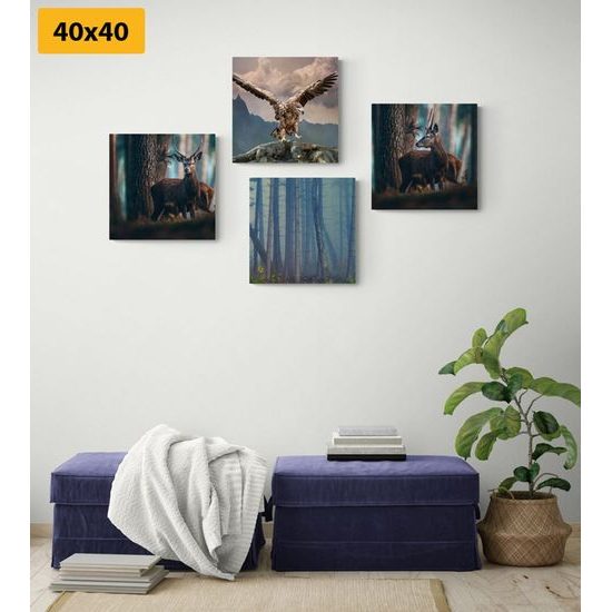 Set obrazů nádherná lesní zvířata