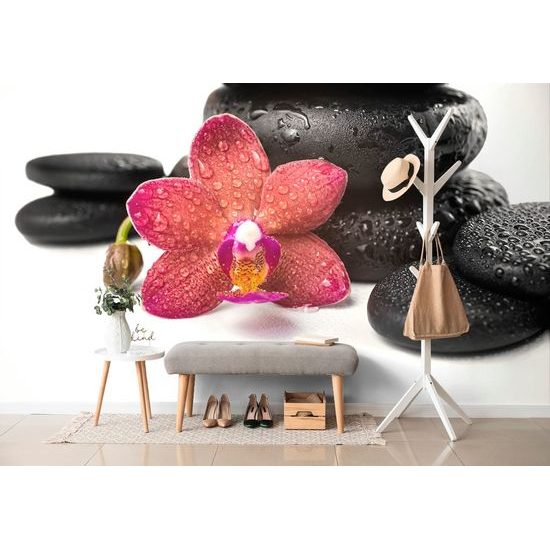 Tapeta červená orchidej se zen kameny